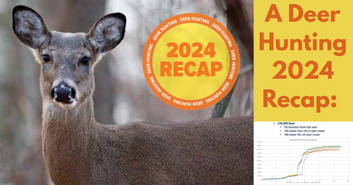 A deer-hunting 2024 recap: higher harvest, and the rise of the crossbow