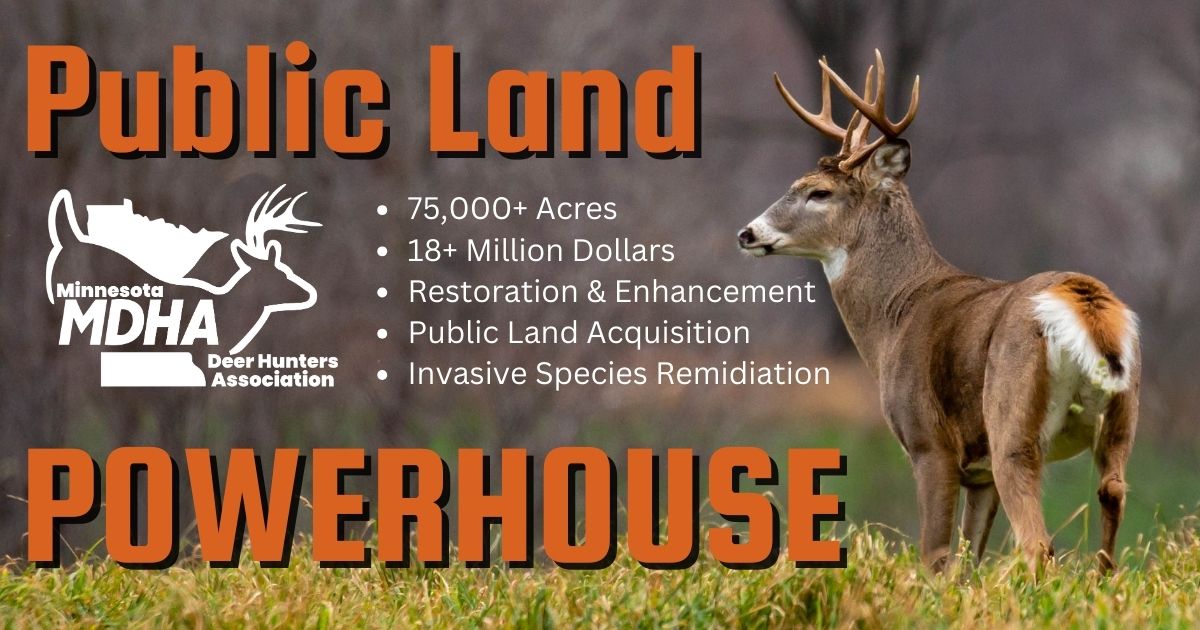 Minnesota Deer Hunters And Public Lands