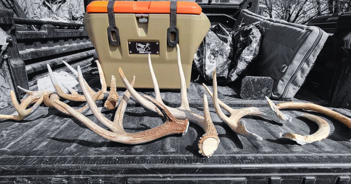 Shed Hunting: A Treasure Hunt for Hunters  