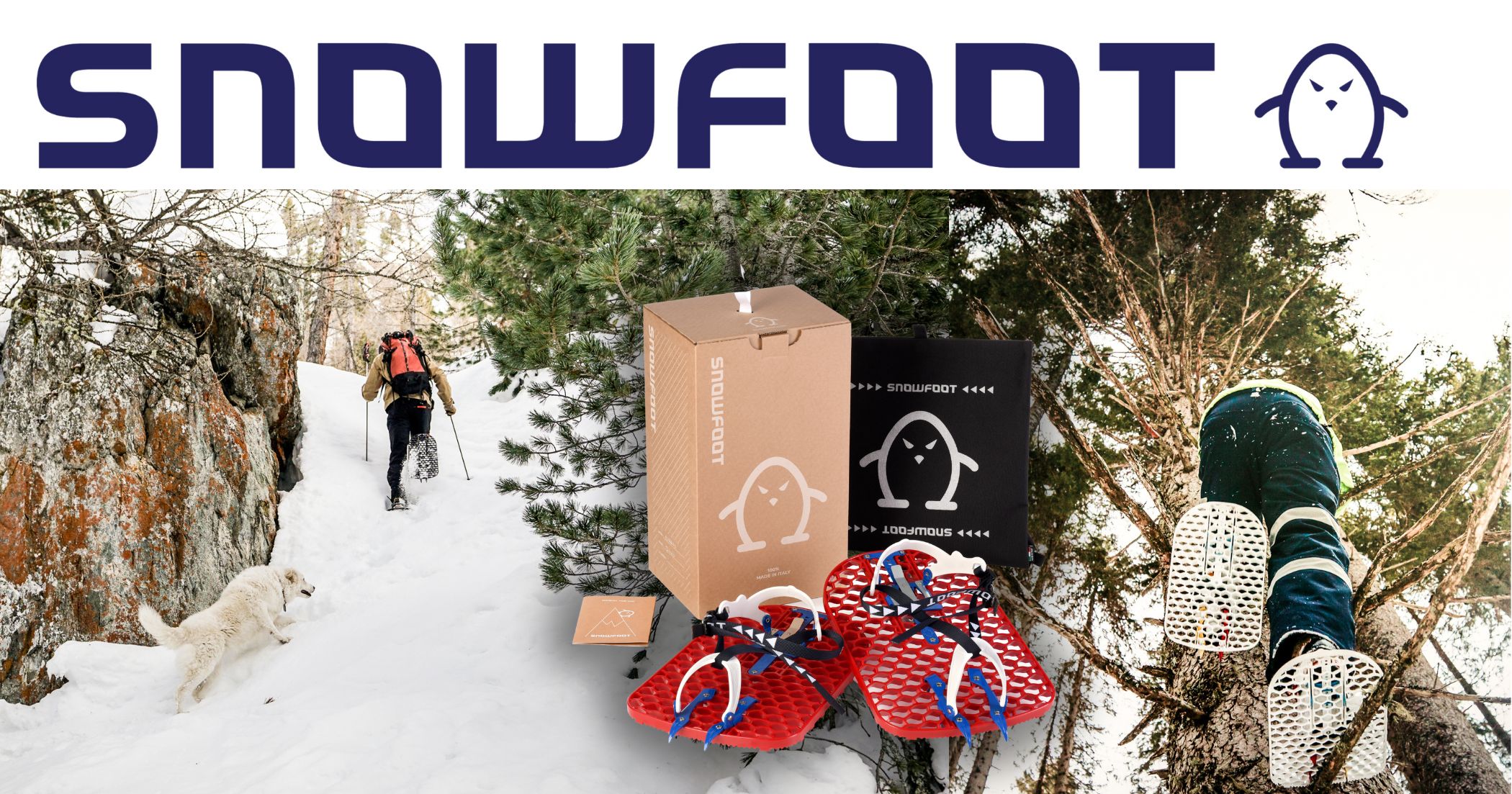 Snowfoot the hunting snowshoe