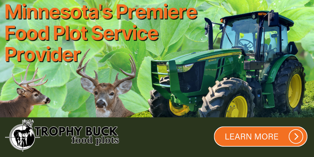 trophy buck food plots